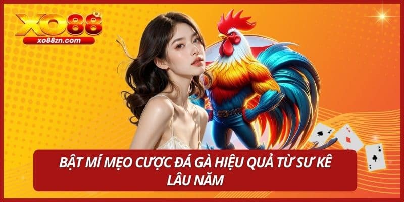 Bật mí mẹo cược đá gà hiệu quả từ sư kê lâu năm