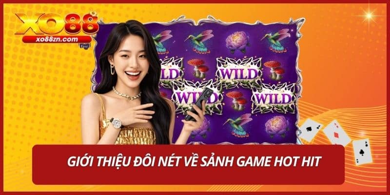 Giới thiệu đôi nét về sảnh game hot hit