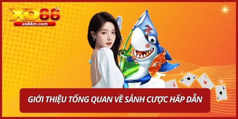 Giới thiệu tổng quan về sảnh cược hấp dẫn