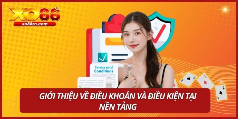 Giới thiệu về điều khoản và điều kiện tại nền tảng