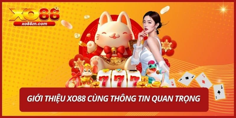 Giới thiệu XO88 cùng thông tin quan trọng