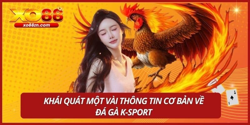 Khái quát một vài thông tin cơ bản về đá gà K-Sport