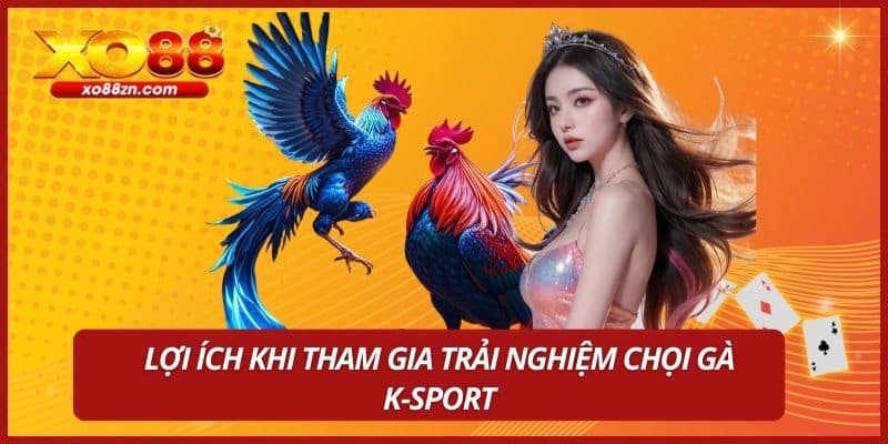 Lợi ích khi tham gia trải nghiệm chọi gà K-Sport