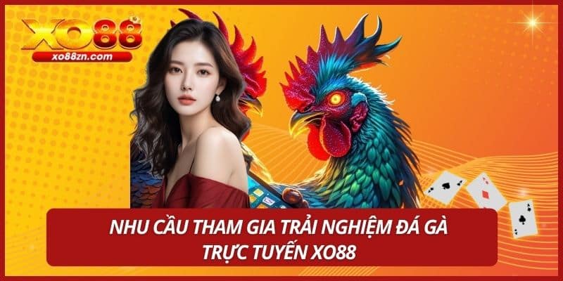 Nhu cầu tham gia trải nghiệm đá gà trực tuyến XO88