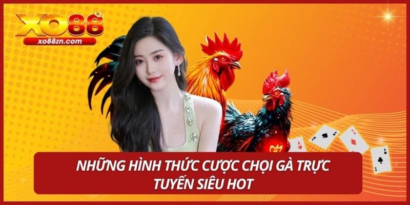 Những hình thức cược chọi gà trực tuyến siêu hot