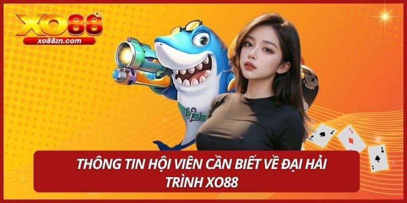 Thông tin hội viên cần biết về Đại Hải Trình XO88