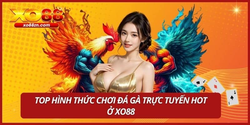 Top hình thức chơi đá gà trực tuyến hot ở XO88