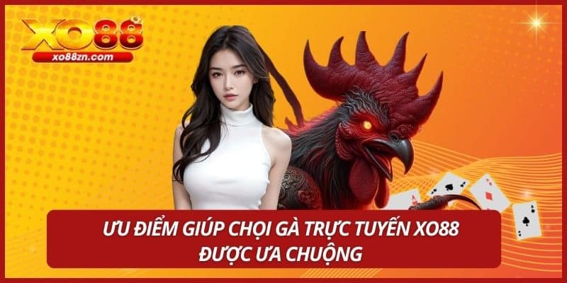 Ưu điểm giúp chọi gà trực tuyến XO88 được ưa chuộng