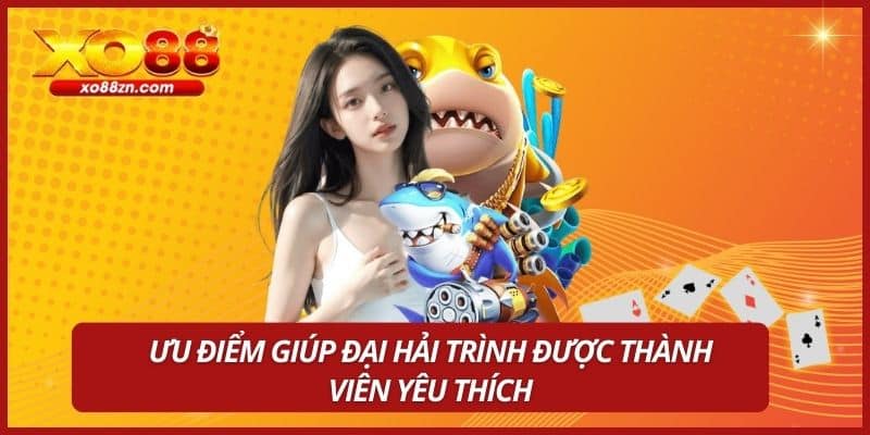 Ưu điểm giúp Đại Hải Trình được thành viên yêu thích