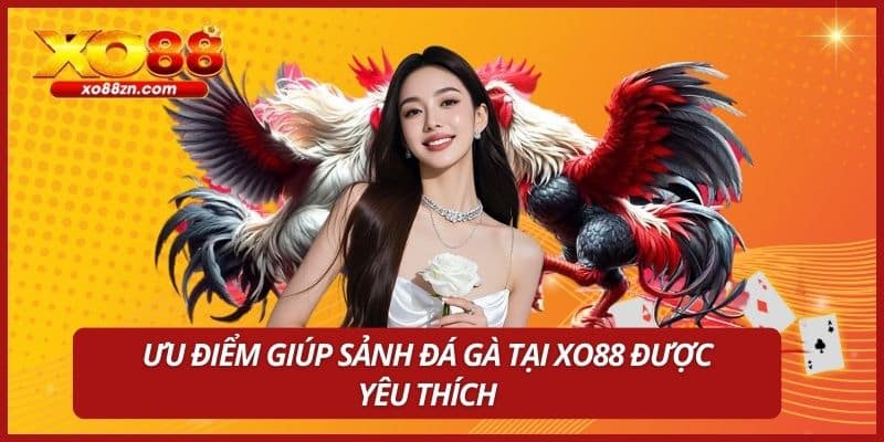 Ưu điểm giúp sảnh đá gà tại XO88 được yêu thích